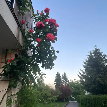 Apartma Losko Апартаменты *