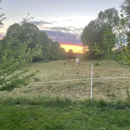 Appartamento Apartma Losko