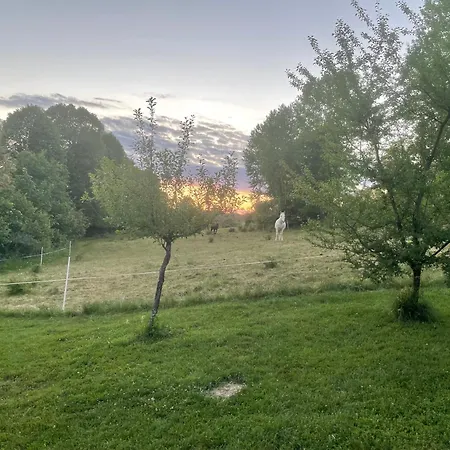 Apartma Losko