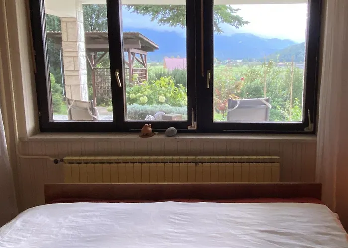 Apartma Losko アパート ツェルクニツァ